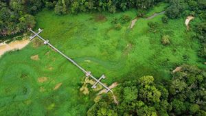 Gulma Penuhi Waduk Manggar, Perahu Wisata Sulit Melintas