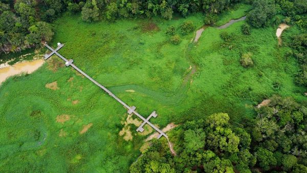 Gulma Penuhi Waduk Manggar, Perahu Wisata Sulit Melintas