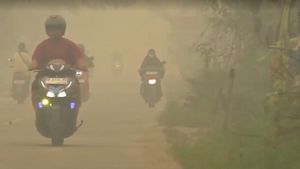 Bukan Filter! Begini Penampakan Kabut Asap di Kalimantan