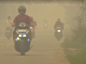 Video: Seburuk Ini Kabut Asap di Kalimantan, Penyakit ISPA Tak Terhindarkan