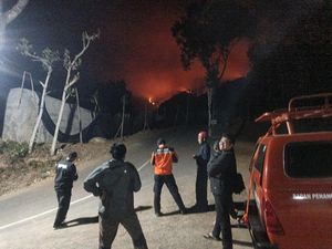 Puncak Gunung Wilis Membara Bikin Petugas dan Warga Siap Siaga
