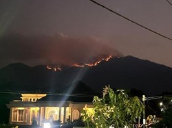 Puncak Gunung Wilis Terbakar Malam Ini