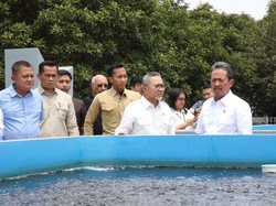 Pemerintah Fokus Kembangkan Program Budidaya Ikan Tematik di 6 Provinsi