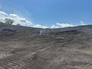 Batu Bara di Kasus Korupsi Samin Tan Dilelang, Laku Rp 179 M