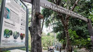 Panas Jakarta Menyengat, Hutan Kota Jadi Pilihan Warga