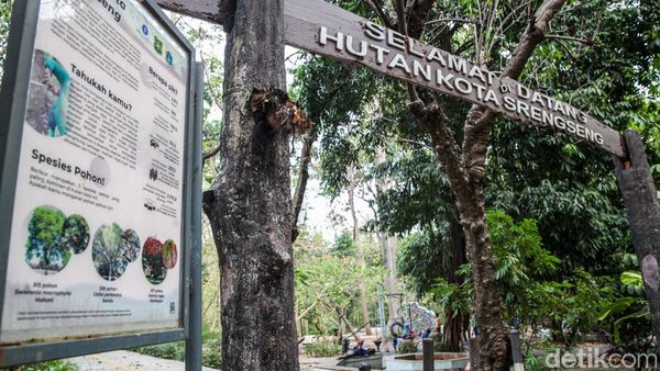 Panas Jakarta Menyengat, Hutan Kota Jadi Pilihan Warga