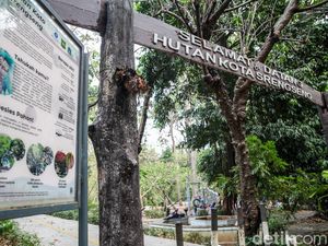Panas Jakarta Menyengat, Hutan Kota Jadi Pilihan Warga