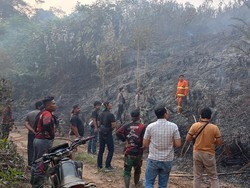 Petugas Padamkan 5 Hektare Lahan Terbakar dalam Area Perusahaan di Merangin