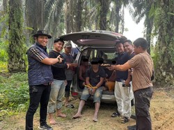 Polres Kuansing Tangkap 4 Penambang Emas Ilegal di Lahan KUD
