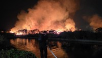 Kebakaran Lahan 10 Hektare Dekat Mall 23 Semarang Dipicu Pemancing Mabuk