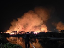 Kebakaran Lahan 10 Hektare Dekat Mall 23 Semarang Dipicu Pemancing Mabuk
