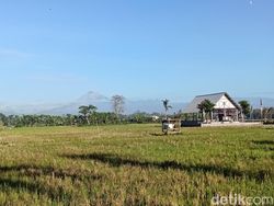 Gunung Semeru 30 Kali Erupsi Disertai Suara Gemuruh
