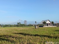Gunung Semeru 30 Kali Erupsi Disertai Suara Gemuruh
