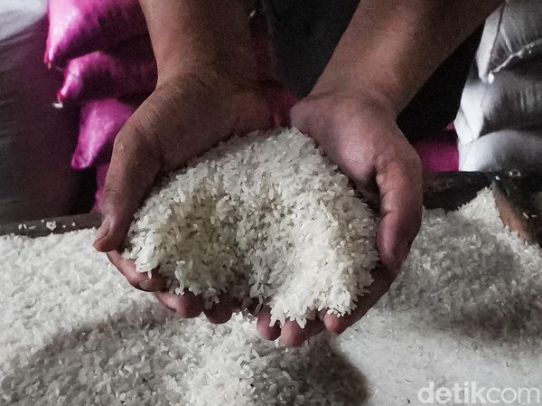 Kemarau Bikin Pasokan Seret, Harga Beras Mulai Naik