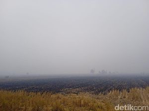 Kabut Asap di Banjar Bikin Jarak Pandang Cuma 50 Meter, Ortu Siswa Minta PJJ