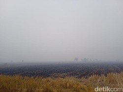 Kabut Asap di Banjar Bikin Jarak Pandang Cuma 50 Meter, Ortu Siswa Minta PJJ