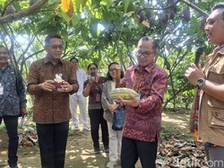 Pabrik Cokelat Bali Butuh 350 Ton Kakao Setahun, OJK Siapkan Pembiayaan