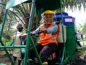 Kisah Perempuan Tangguh di Kebun Solok Selatan dan Harapan Keluarga