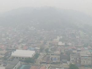 Kabut Asap Bikin Siswa Samarinda PJJ, Guru Diminta Tak Beri Tugas Berlebihan