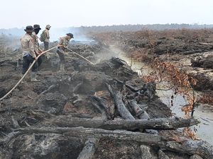 Operasi X-Fire Polda Sumsel Sukses Padamkan Karhutla Muara Enim