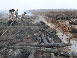 Operasi X-Fire Polda Sumsel Sukses Padamkan Karhutla Muara Enim