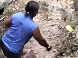 Pawang di Sultra Digigit Saat Mau Evakuasi Ular Piton di Gua