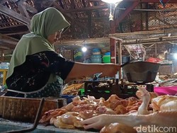 Harga Ayam Broiler di Probolinggo Tembus Rp42 Ribu/Kg, Pembeli Kabur