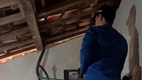 Teror Ular Saat Kemarau di Ciamis, Cincin Emas hingga Kobra Masuk Rumah
