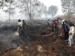 Puluhan Mahasiswa Jambi Diajak Belajar Langsung Tangani Karhutla
