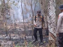 Polisi Padamkan Karhutla di Rantau Bayur Banyuasin dengan Alat Seadanya