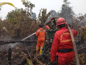 Karhutla 3 Hektare di Kebun Sawit-Karet Padam, Satgas Duga Dibakar Berulang