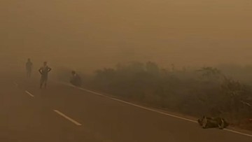 Terdampak Karhutla, KLH Sebut Kualitas Udara di Kalteng-Kalsel Berbahaya