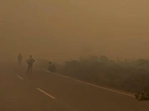 Hotspot Karhutla Kalteng Sempat Melonjak 523 Persen dalam Sehari