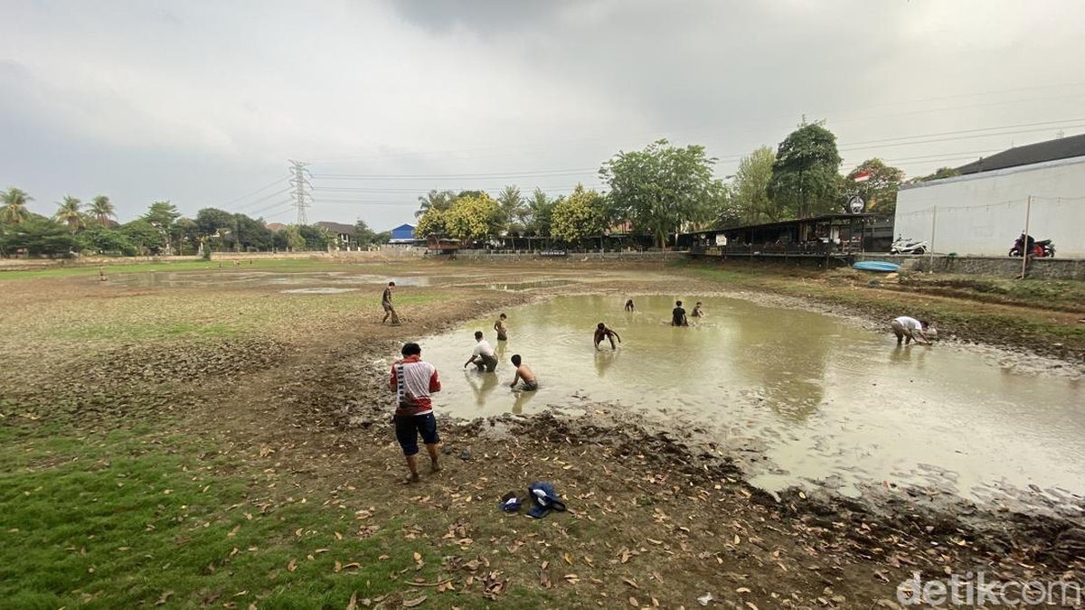 Kekeringan Landa Danau Cinere, Warga Panen Ikan Massal