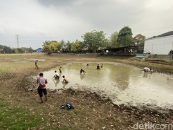 Kemarau Bikin Danau di Cinere Depok Kering, Warga Ramai Cari Ikan
