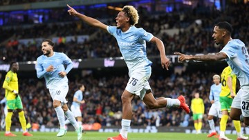Man City Vs Norwich: The Sky Blues Pesta Gol 5-0