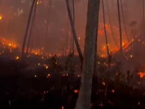Bak Lautan Api, 20 Hektare Lahan di Minahasa Utara Terbakar