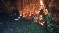 100 Hektare Lahan di Polman Terbakar, Api Belum Padam