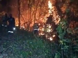 Video: 100 Hektare Lahan Hangus Dalam Semalam Akibat Karhutla di Polman