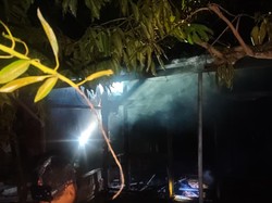 Kebakaran di Guntur Demak, 3 Rumah Ludes