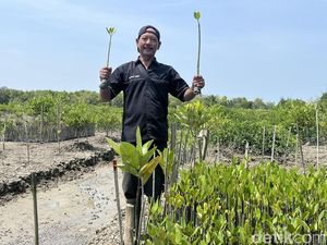 Mangrove Ditanam, Kepiting Kembali: Cerita Warga Sei Tuan Mengais Rezeki
