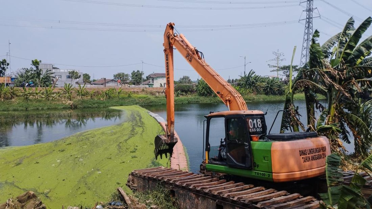 Fenomena Air Kanal Banjir Timur Berubah Hijau Ini Pemicunya