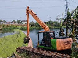 Aliran Kanal Banjir Timur Menghijau Bak Matca, Ternyata Ini Penyebabnya
