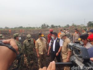 Karhutla Sumsel Tertinggi di Indonesia, Sisa 402 Hektare yang Masih Terbakar