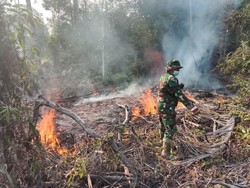 Karhutla Lingga Capai 400 Hektare, Api Masih Berkobar di Desa Kudung