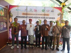 Bank BPD Bali Gandeng OJK Perkuat Hilirisasi Sektor Pertanian di Tabanan