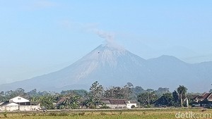 Aktivitas Gunung Semeru Meningkat: 22 Kali Letusan, Status Siaga
