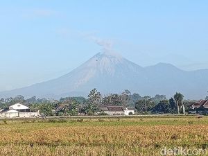 Gunung Semeru 22 Kali Erupsi dalam 6 Jam, Warga Diminta Waspada