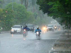 Riau Diguyur Hujan Sejak Semalam, Karhutla di Inhu Mereda