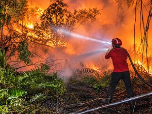 Dana Rp 30 Miliar untuk Penanganan Karhutla Jambi Belum Dipakai, Ini Alasannya
